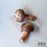 Pair of handmade wooden shiitake mushroom fridge magnets on cute notepad – Joe’s Woodworks