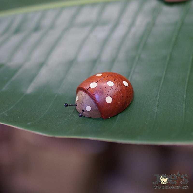 Red wooden ladybug magnet resting on green leaf surface