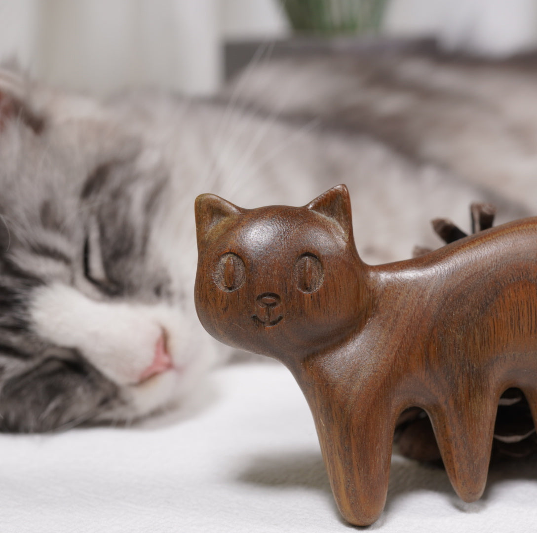 Close-up of Pipimu Cat Mimi wooden massage combe showing smooth wood texture