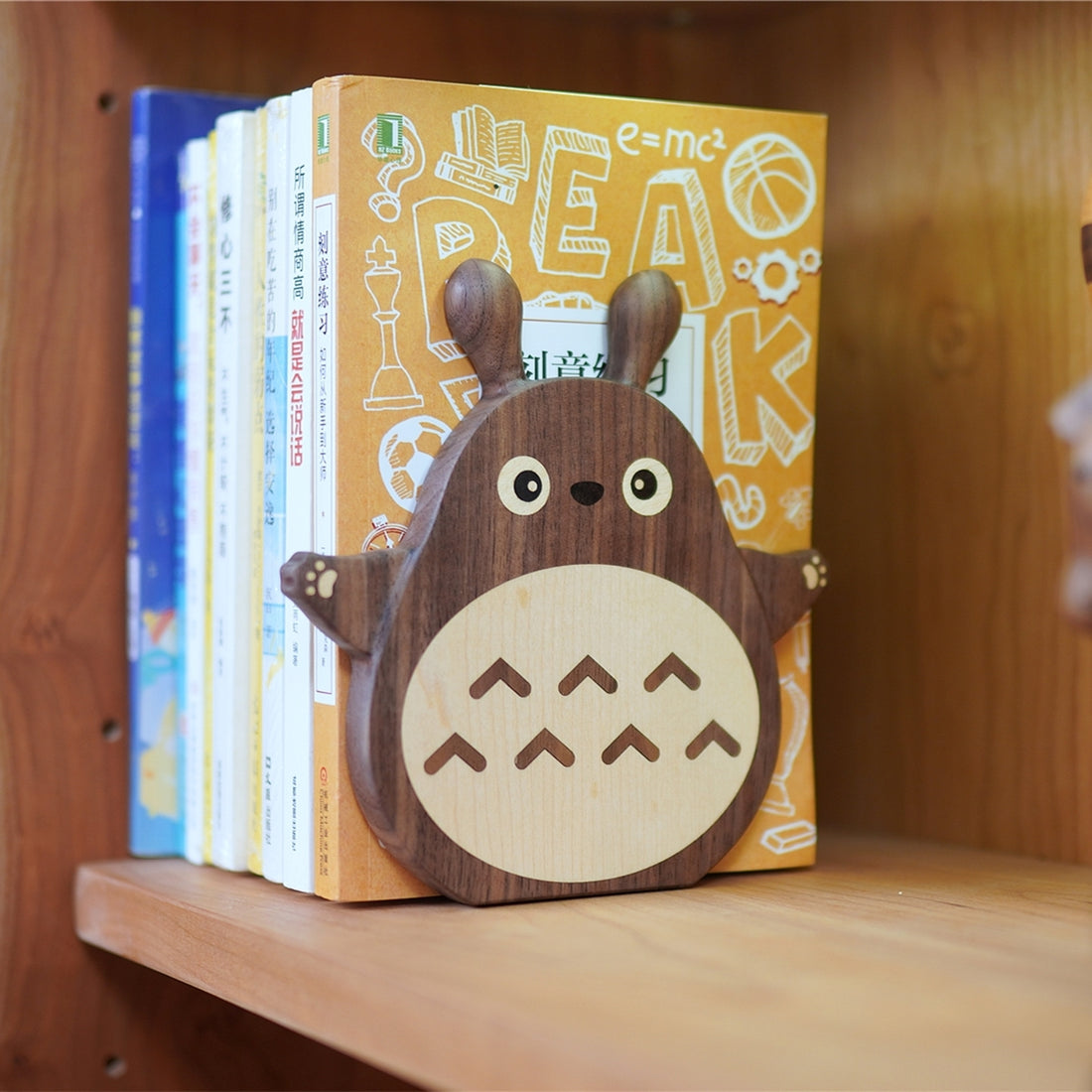 Pipimu Forest Spirit Milo on bookshelf holding books